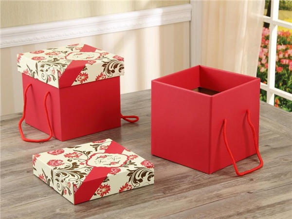 瓦(wa)楞彩盒(he) 